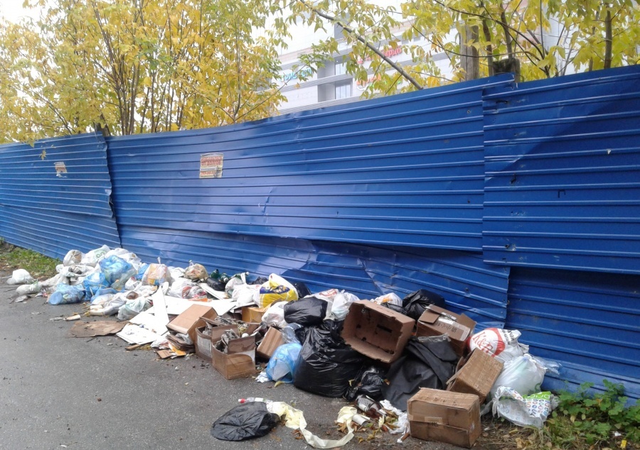 Trash reform in the Nizhny Novgorod region: we will sift. money?